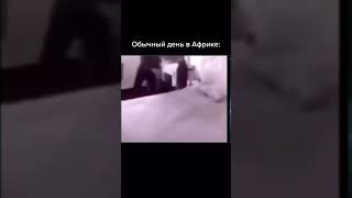Смешные мемы !#Shorts#Мем#Мемы#Ржака Смешные мемы !#Shorts#Мем#Мемы#Ржака