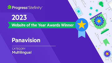 Panavision: 2023 Website of the Year Award Winner, Multilingual