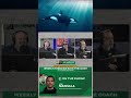 Joe Mazzulla is a BIG "Free Willy" fan