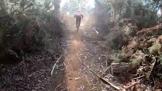 Avalanche da Raposeira 2018