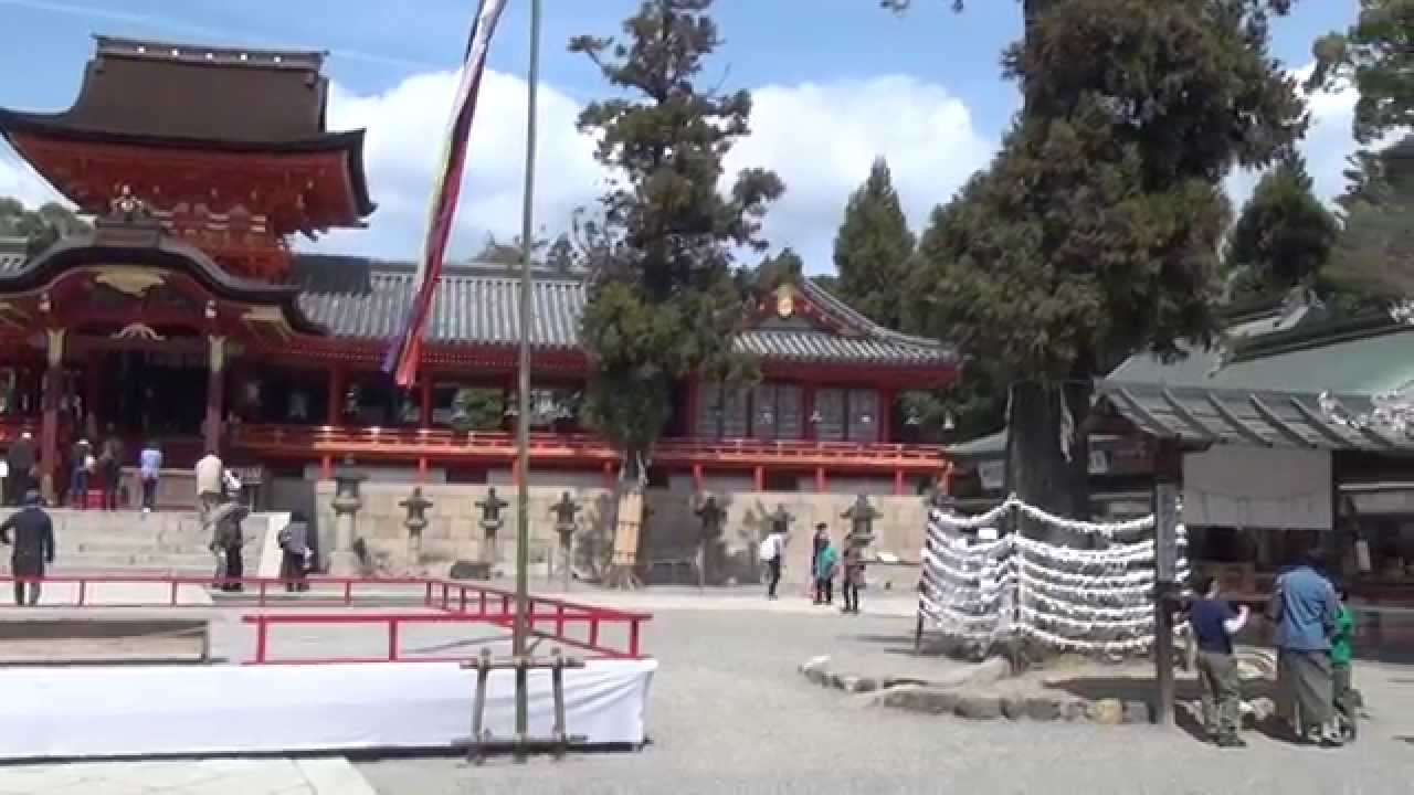 石清水八幡宮の桜 Youtube 石清水八幡宮の桜 Youtube