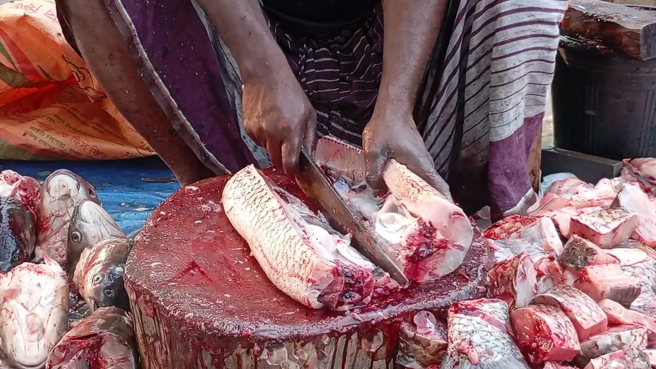 Fresh Fish Cutting & Cleaning | Complete Step-by-Step