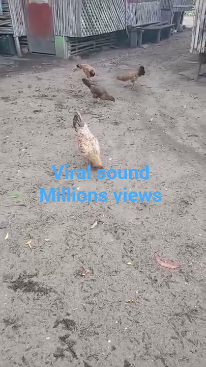 May pangbinta na may pang ulam pa#buhayprobensya #singlemom #dailyvlog #071925