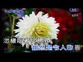 旅笠道中/難忘ㄟ人