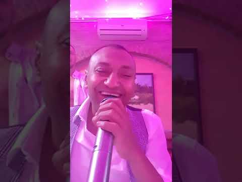 Zeljko Zeks Dimitrijevic-Nema