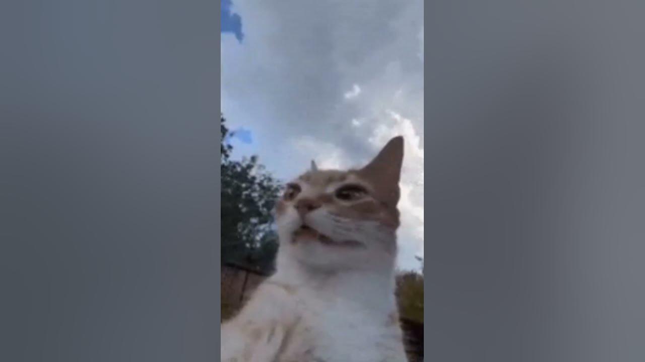 Сбер мега маркет - YouTube