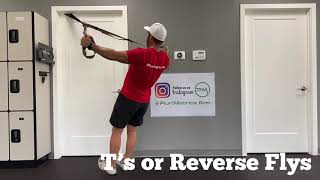 TRX T’s or Reverse Flys