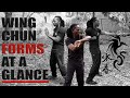 Wing chun forms at a glance