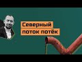 Г@вно вместо газа: в России нашли замену «Северному потоку-2»