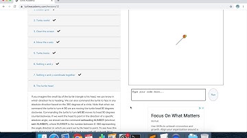 Turtle Academy 03 Turtle world
