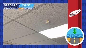 DB2022 - Ceiling Egg