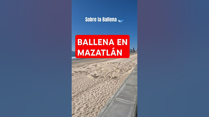 Ballena de Mazatlán que sucederá? 🐳 #ballenamazatlan #mazatlan #mazatlán #turismo #playasmexicanas