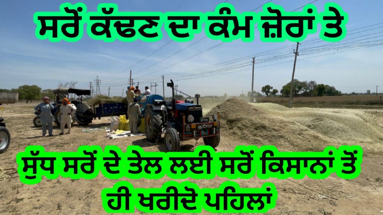 ਸੁੱਧ ਸਰੋਂ ਦੇ ਤੇਲ ਲਈ ਸਰੋਂ ਕਿਸਾਨਾਂ ਤੋਂ ਸਿੱਧਾ ਖਰੀਦ ਕੇ ਰੱਖੋ। Pure Musterd Oil।