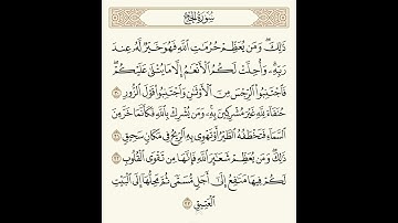 القارئ الشيخ نورين محمد صديق (رحمه الله تعالى)