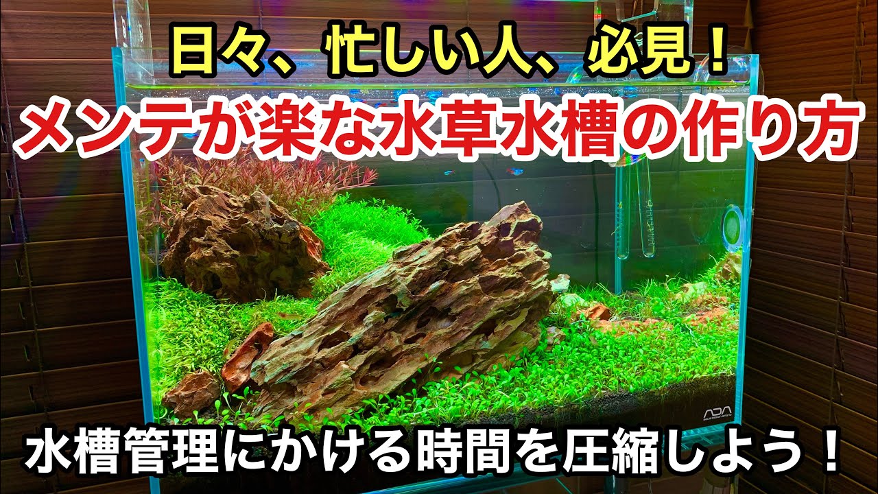 楽して水草水槽を楽しむ方法 忙しい人は必見 水槽管理の時間を短縮しよう 水草水槽の立ち上げ方法 水草絵レイアウト初心者 水草水槽の作り方 水換え 換水 Adaネイチャーアクアリウム トリミング Youtube