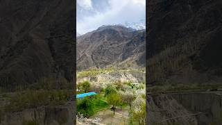 Spring Blossom 🌼 season at Khanabad Hunza #shortsfeed #youtubeshorts #ytshorts #short #viral #yt