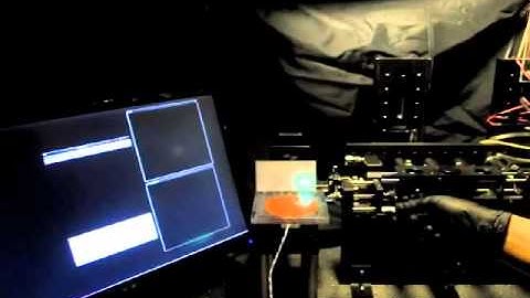 Visualizing fluorescent microspheres with a GRIN probe.