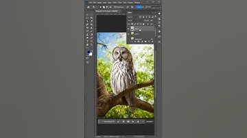 How to Blur Backgrounds in Photoshop: Easy & Quick Tutorial! #ihkcreations #shorts #tutorial #edit