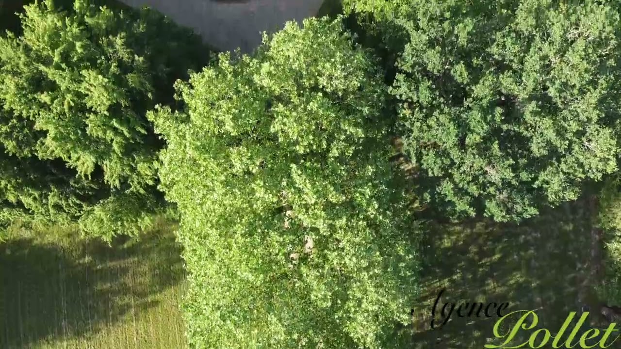 Aperçu vidéo — Maison fin XIXème, 4,7 hectares, dépendance, étang, prairie