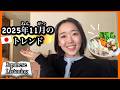 Japan's November 2025 Trend Roundup【Japanese Listening】