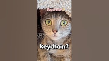 Keychain but I have to make it! #diy #gachapon #shorts