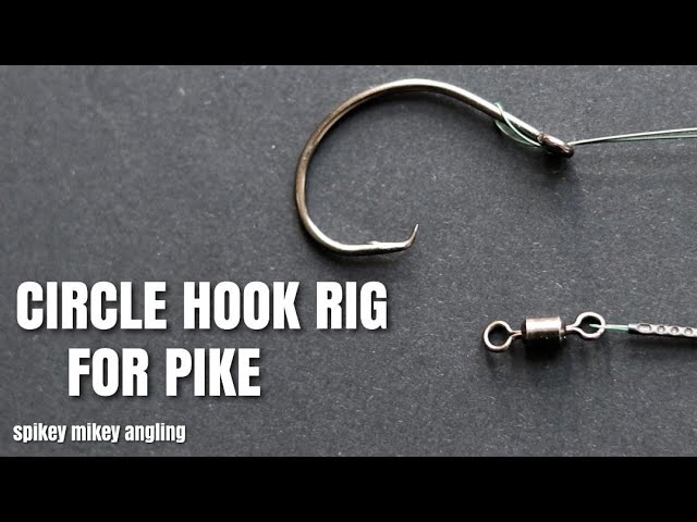 Pike fishing UK : Deadbaiting for Pike with circle hooks 