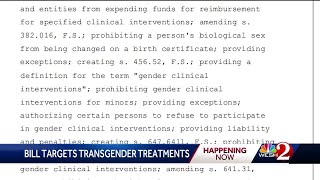 FL bill would ban gender-affirming treatment for people under 18