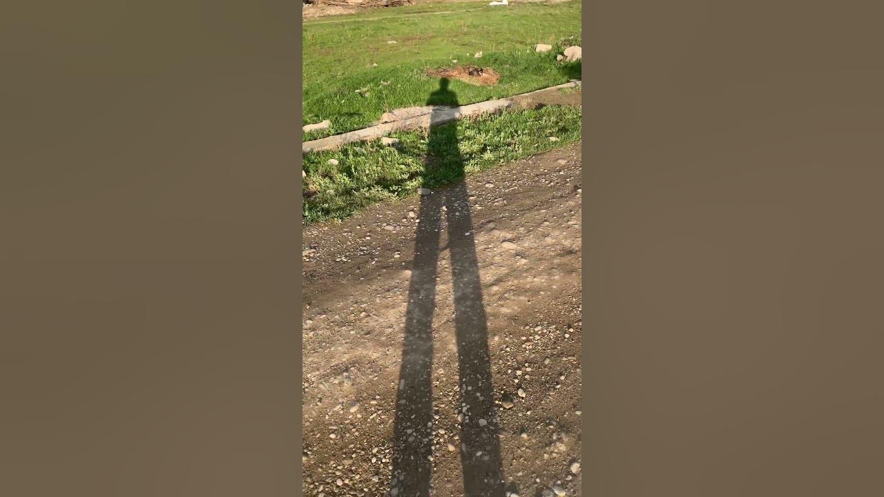 БАРХАТНЫЕ ТАПКИ 🤣 #бархатныетяги #дагестан #махачкала #весна #шортс # ...