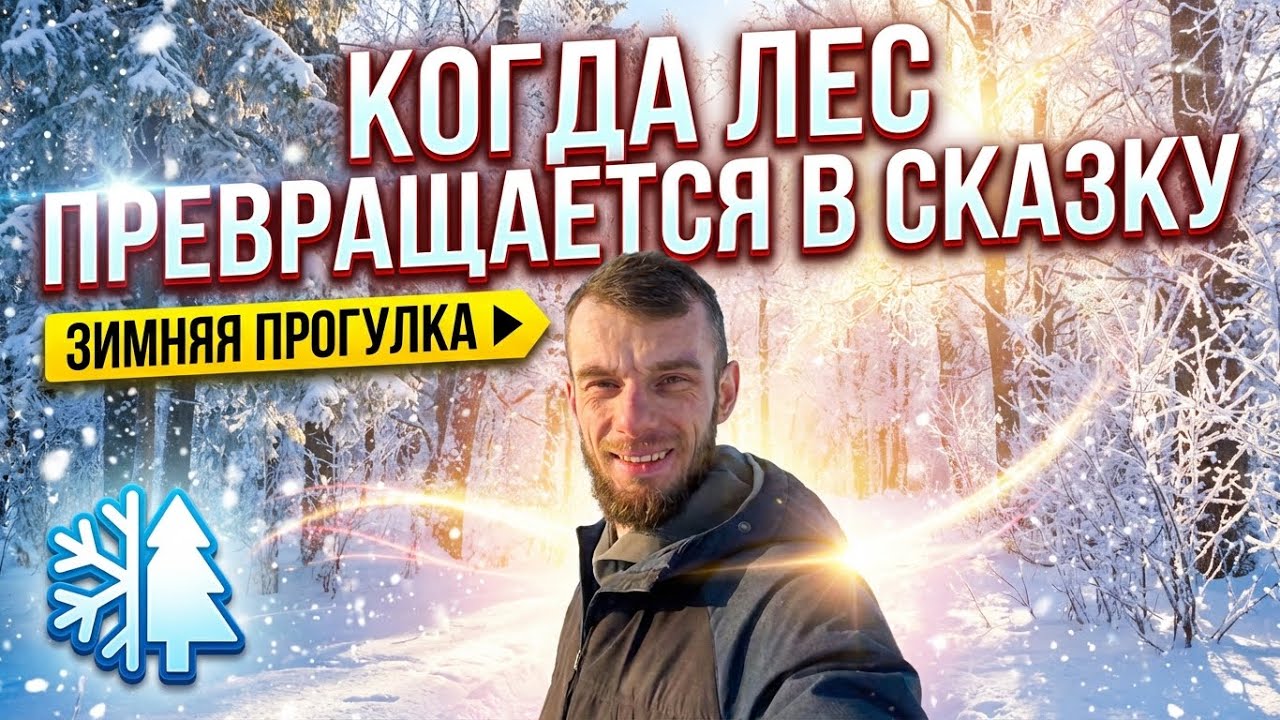 Когда лес превращается в сказку | Зимняя прогулка