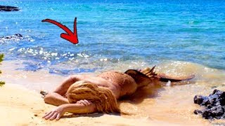 He Caught Real Life Mermaid on The Shore .. Then This Happens