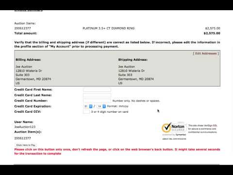 US Auction Brokers Zahlung Tutorial