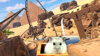 Hamster in Roller Coaster in the Desert With Egyptian Pyramids + Bonus Maze