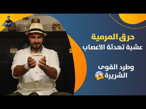 خلاصة فوائد المرمية من هدوء الاعصاب ومحاربة الشيخوخة الى طرد الطاقات السلبية