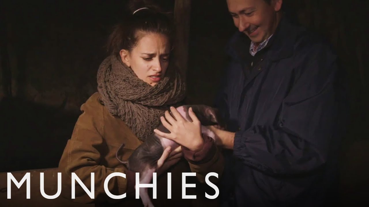 Steak, Cider, & Baby Piglets: MUNCHIES Guide to the Basque Country (Episode 3) | Munchies