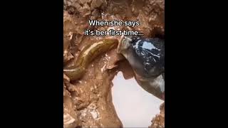 he understood the assignment