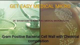 Composition of Gram Positive Bacterial Cell Wall@ Get Easy Medical Micro