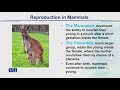 ZOO302 Animal Form & Function-II Lecture No 132