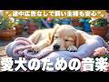 犬が落ち着く音楽 (12時間広告なし) 🐶 ヒーリングピアノ 犬が安心する音楽 | 雷対策 / vol.989