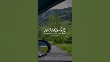 أجمل التلاوات أرح بها سمعك ♡ || القارئ وديع اليمني ♡ تلاوة خاشعة مؤثرة من سورة البقرة