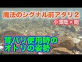 鮎釣り 小沢聡×剛前アタリ2 背バリ使用時のオトリの姿勢
