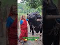 ওয়াও দারুণ বিষয় তো। #aivideo #ai #trending #গরুরহাট #viral #reels #aishorts #vairal #কুরবানিরহাট