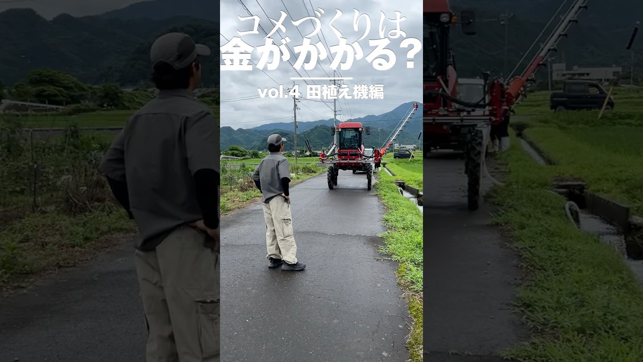 「コメ価格高騰、本当に高いのか？」コメづくりは金がかかる？ 居川農場長に聞いてみた Vol.5 ハイクリブーム編 #農業 #コメ #shorts #めっちゃかかります