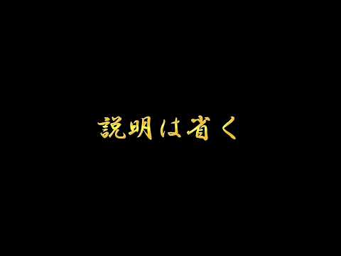 説明は省く、敵だ【東方pv】