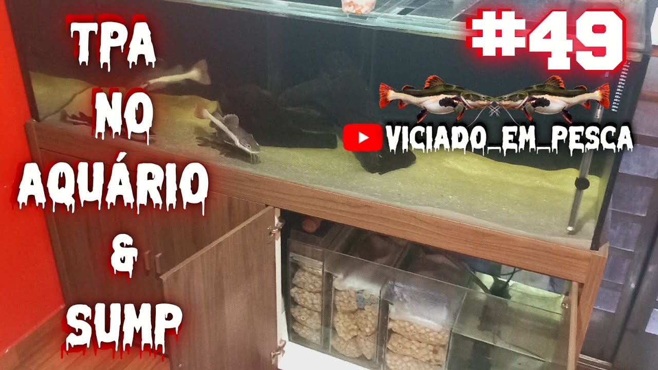 Aquário e Sump  limpos TPA Feita ✅️🐟 #pirarara #TPA #sump 