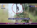Watch: Toddy Worker Rescues Colleague from Palm Tree Mishap