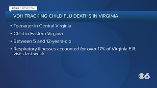 2 children died of flu in Virginia, health officials say