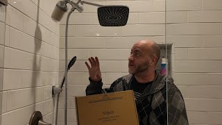 rain shower head with handheld pretty nice