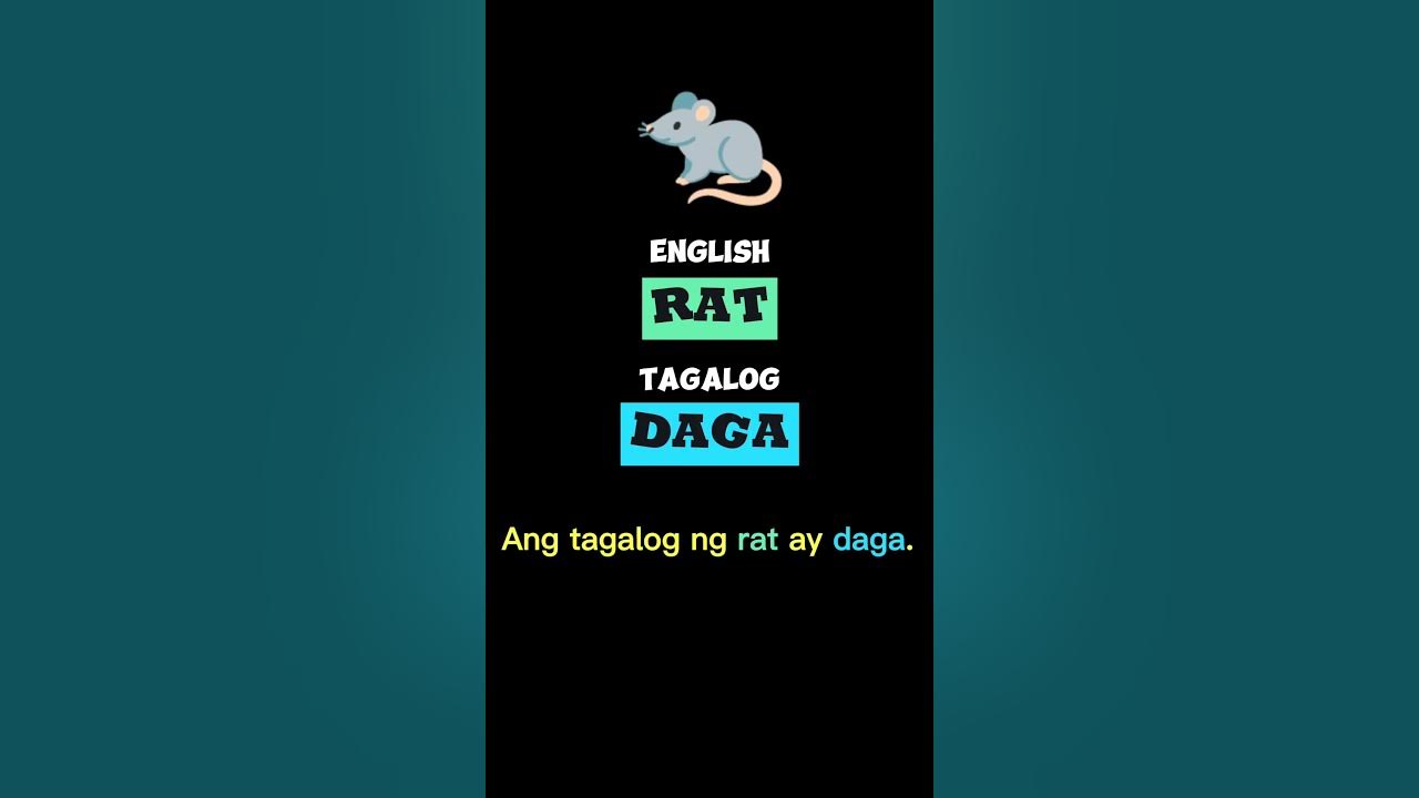 Rat Daga English Tagalog translation YouTube rat-daga-english-tagalog-translation-youtube