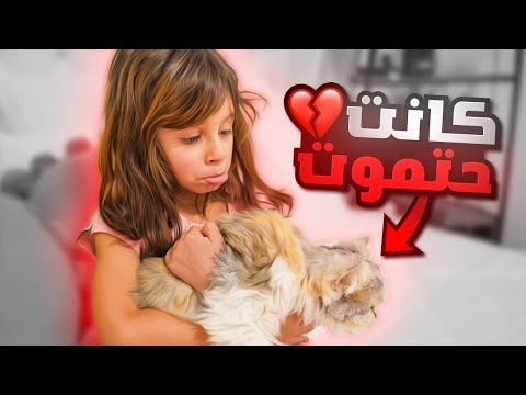 فيديو: متى تموت الأميرة شيرين؟