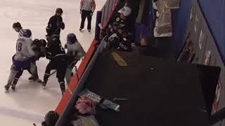 Montana Bozeman Ice Dogs NA3HL Luke Hartmark Junior Hockey fight scuffles